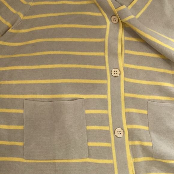 Tuckernuck Chai Striped Lauren Cardigan Oversized Button Front Pockets Size XXL - Picture 11 of 13